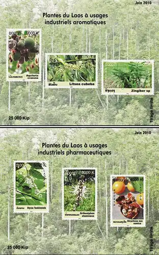 Medicinal Plants (220B-221B) (MNH)