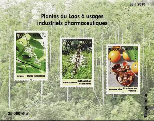 Medicinal Plants (220B-221B) (MNH)
