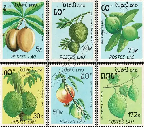 Fruits (II) (MNH)