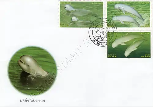 Irawadi Dolphin -FDC(I)-I-
