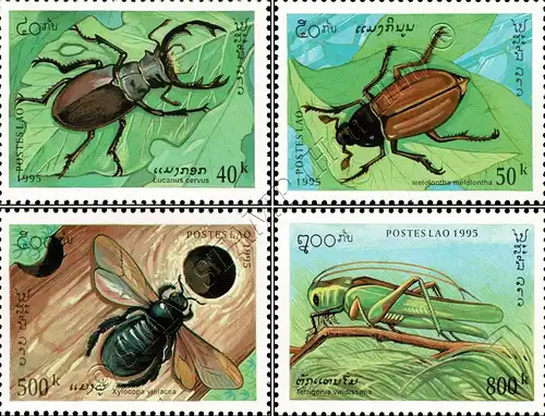 Insects (II) (MNH)