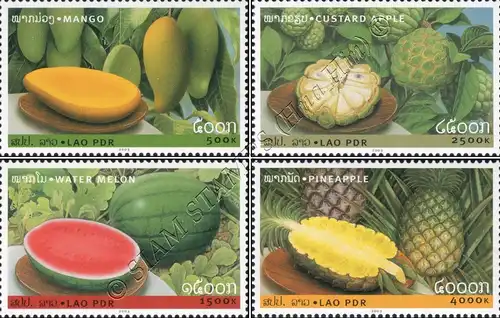 Fruits (III) (MNH)