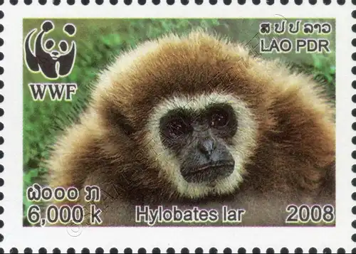 Weltweiter Naturschutz: Weißhandgibbon -GEZAHNT- (**)