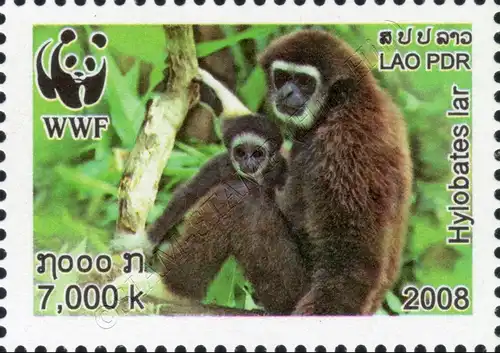 Weltweiter Naturschutz: Weißhandgibbon -GEZAHNT- (**)