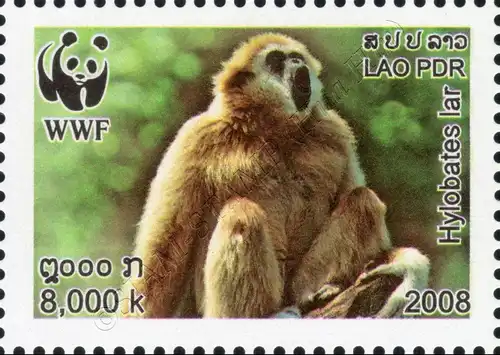 Weltweiter Naturschutz: Weißhandgibbon -GEZAHNT- (**)