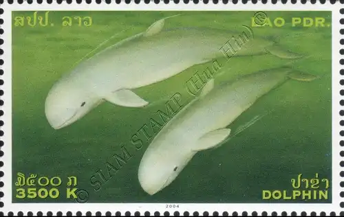 Irawadi-Delphin (**)