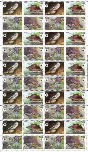 Weltweiter Naturschutz: Amboina-Scharnierschildkröte -BOGEN(I)- (**)