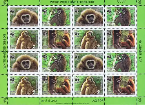 Weltweiter Naturschutz: Weißhandgibbon -GEZAHNT BO(I)- (**)