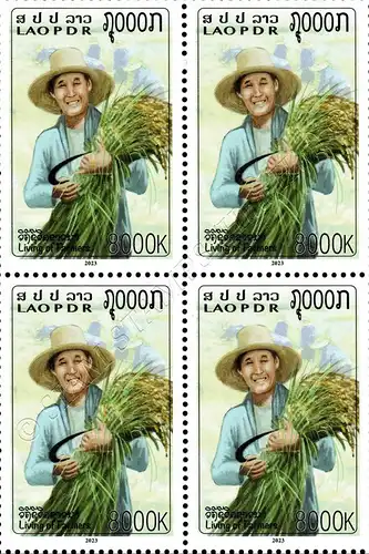 Das Leben der Landwirte: Reisbauern -4er BLOCK- (**)