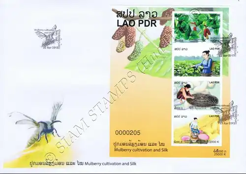 Seidengewinnung (239B) FDC(I)-I-