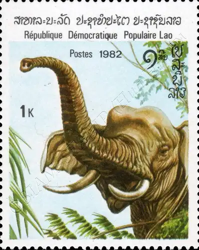 Elefanten (II) (**)