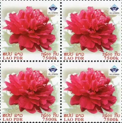 Int. Briefmarkenausstellung CHINA 2009, Luoyang -4er BLOCK- (**)