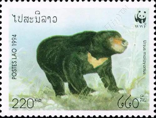 Weltweiter Naturschutz: Malaienbär (**)
