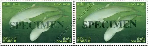 Irawadi-Delphin -SPECIMEN PAAR- (**)