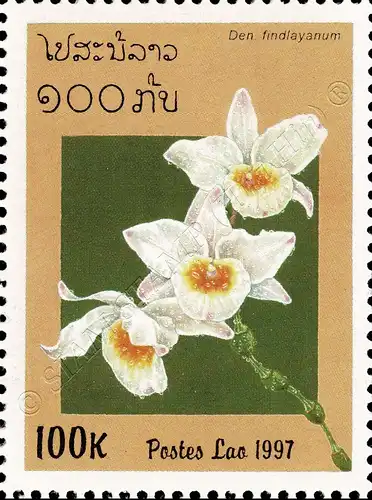Orchideen (V) (**)