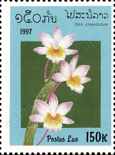Orchideen (V) (**)