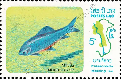 Fische aus dem Mekong (**)