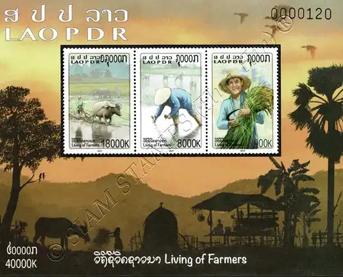 Das Leben der Landwirte: Reisbauern (277A) (**)