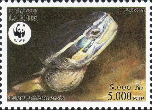 Weltweiter Naturschutz: Amboina-Scharnierschildkröte (**)