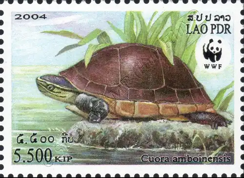 Weltweiter Naturschutz: Amboina-Scharnierschildkröte (**)
