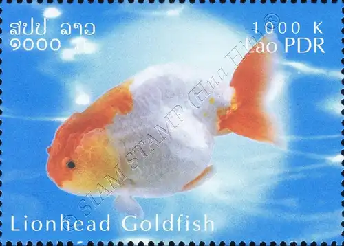 Goldfisch Züchtungen -GEZAHNT- (**)