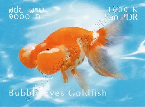Goldfisch Züchtungen -GESCHNITTEN- (**)