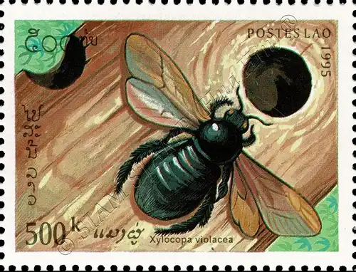 Insekten (II) (**)