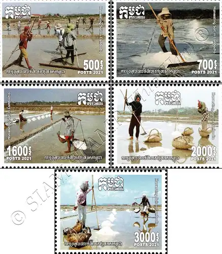 Harvesting Salt in Cambodia (MNH)