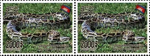 Reptile of Cambodia (IV) -PAIR- (MNH)