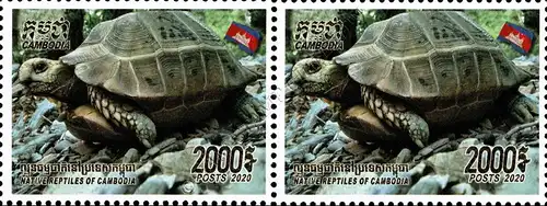 Reptile of Cambodia (IV) -PAIR- (MNH)