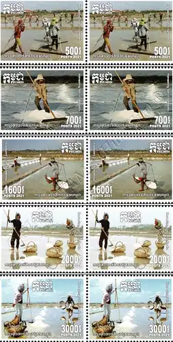 Harvesting Salt in Cambodia -PAIR- (MNH)