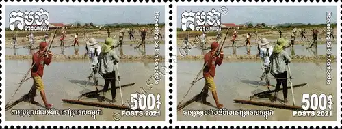 Harvesting Salt in Cambodia -PAIR- (MNH)