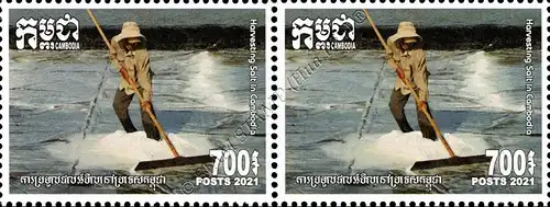 Harvesting Salt in Cambodia -PAIR- (MNH)