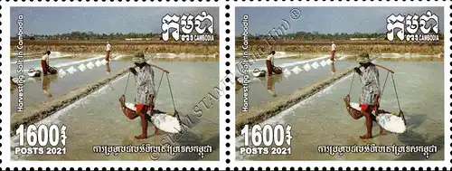 Harvesting Salt in Cambodia -PAIR- (MNH)