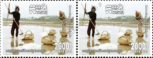 Harvesting Salt in Cambodia -PAIR- (MNH)