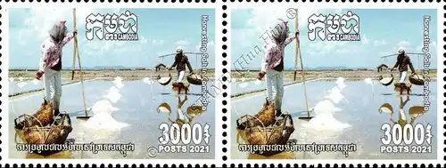 Harvesting Salt in Cambodia -PAIR- (MNH)