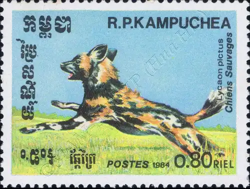 Dogs from all over the world (MNH)