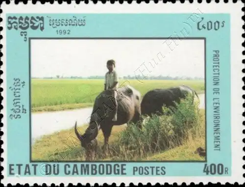 Environmental Protection (MNH)