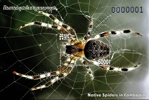 Native Spiders (366B) (MNH)