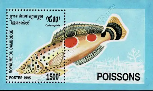 Fishes (VI) (216A) (MNH)