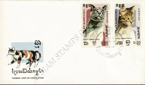 Domestic Cats (I) -FDC(I)-I-