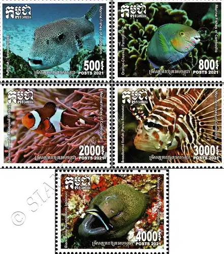 Marine Fishes (MNH)