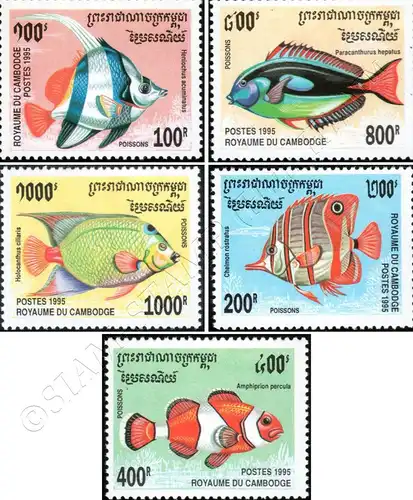 Fishes (VI) (MNH)