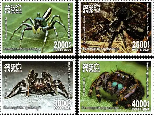 Native Spiders (MNH)