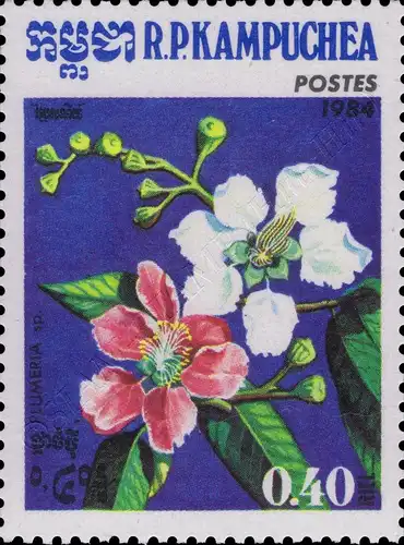 Flora (III) (MNH)