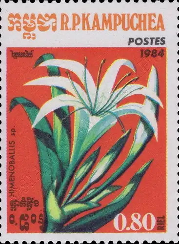 Flora (III) (MNH)