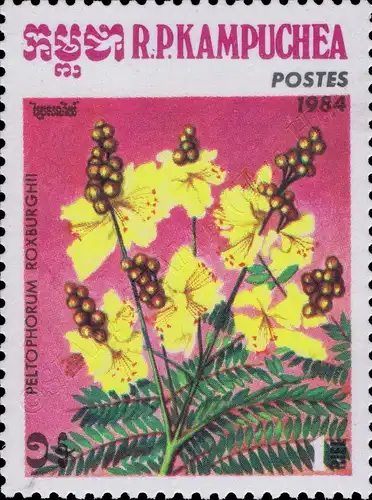 Flora (III) (MNH)