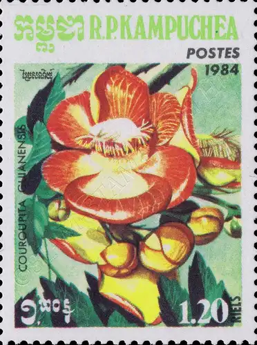 Flora (III) (MNH)