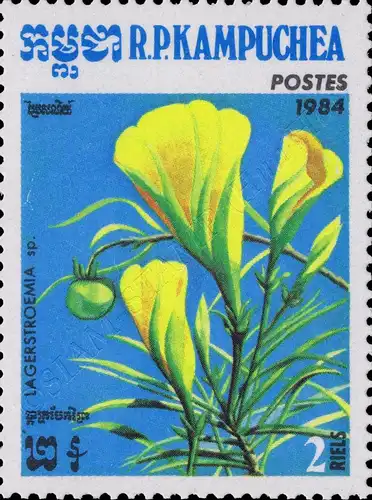 Flora (III) (MNH)