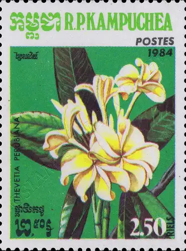 Flora (III) (MNH)